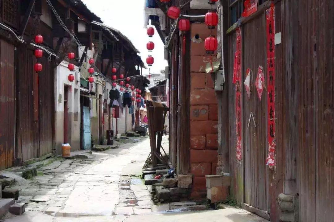 探探猫历险记